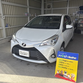 トヨタ・ヴィッツ