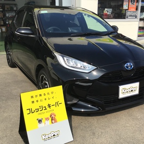 トヨタ・ヤリス