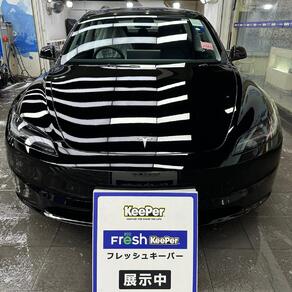 その他・テスラ・モデル３