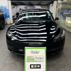 その他・テスラ・モデル３