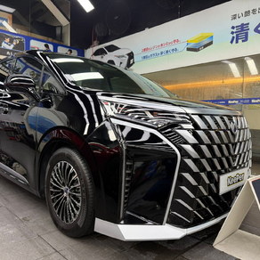 その他・DENZA D9