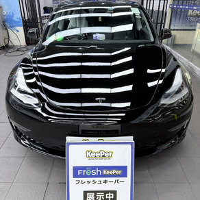 その他・テスラ・モデル３