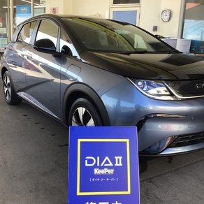 その他・BYD ドルフィン