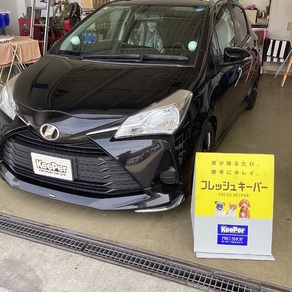 トヨタ・ヴィッツ