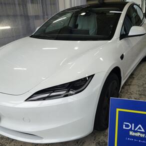 その他・テスラ・モデル３