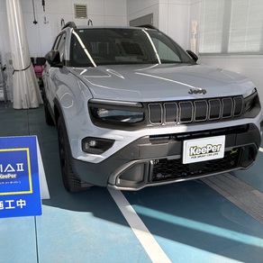 その他・アベンジャー