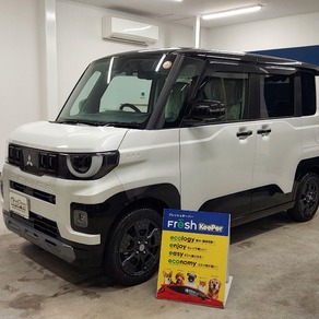 三菱・デリカミニ