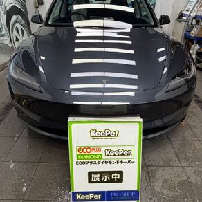 その他・テスラ・モデル３