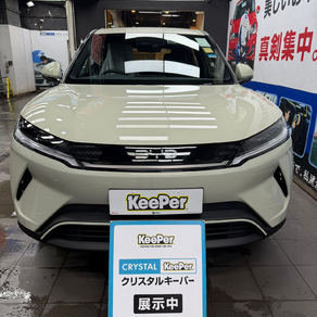 その他・BYD ATTO 2 (國產新車）