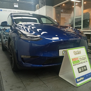 その他・テスラ・モデルY