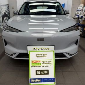 その他・Geely EX5