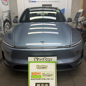 その他・テスラ・モデルY