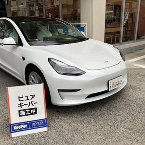 その他・テスラ・モデル３