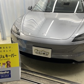 その他・テスラ・モデル３