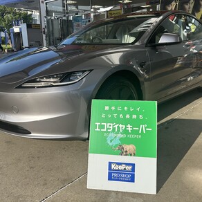 その他・テスラ・モデル３