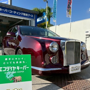 その他・ガリュー