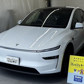 その他・テスラ・モデルY