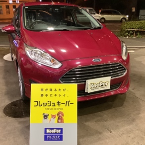 フォード・フィエスタ
