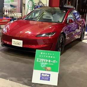 その他・テスラ・モデル３