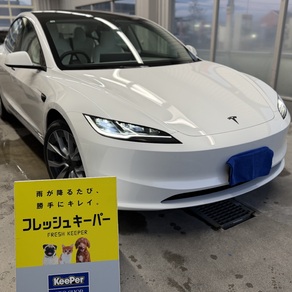 その他・テスラ・モデル３