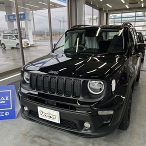 その他・ジープレネガード