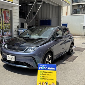 その他・BYD ドルフィル