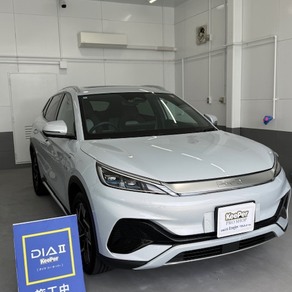 その他・BYD
