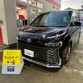 トヨタ・ヴォクシー