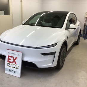 その他・テスラ・モデルX
