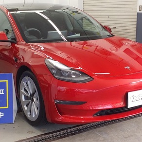 その他・テスラ・モデル３