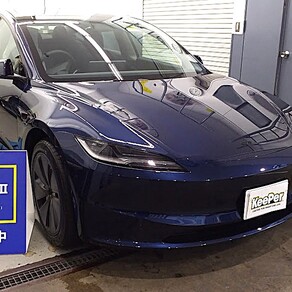 その他・テスラ・モデル３