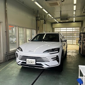 その他・シーライオン