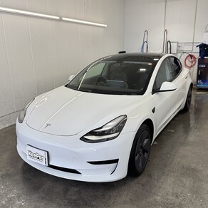 その他・テスラ・モデル３
