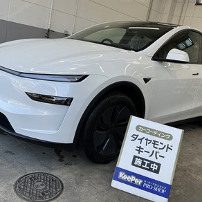 その他・テスラ・モデルY