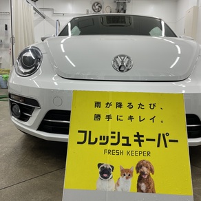 フォルクスワーゲン・ビートル