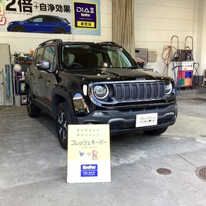 その他・レネゲード