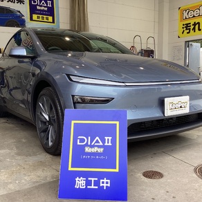 その他・テスラ・モデルY