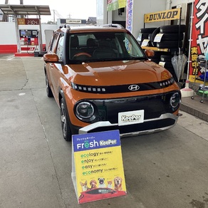 その他・インスター