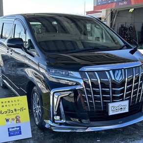 トヨタ・アルファード