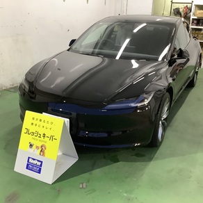 その他・テスラ・モデル３