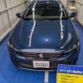 ジャガー・アリュール