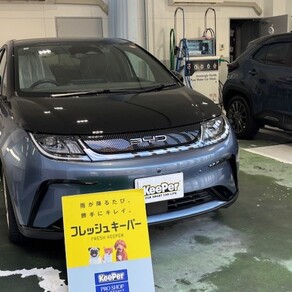 その他・ドルフィン