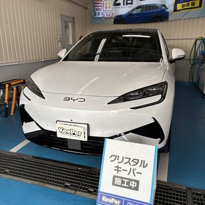 その他・ＢＹＤ　SEALION７
