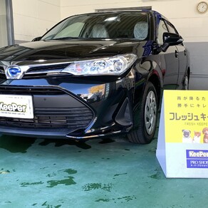 トヨタ・カローラアクシオ