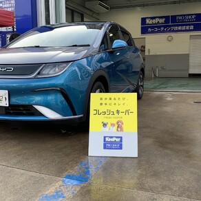 その他・BYD　ドルフィン