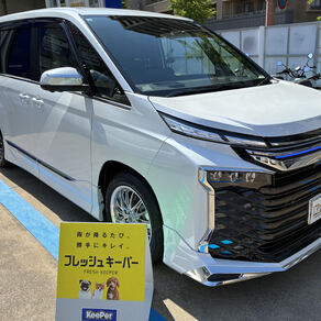 トヨタ・ヴォクシー