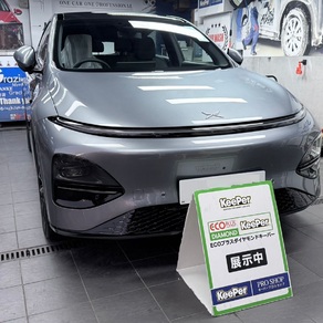 その他・XPENG G6