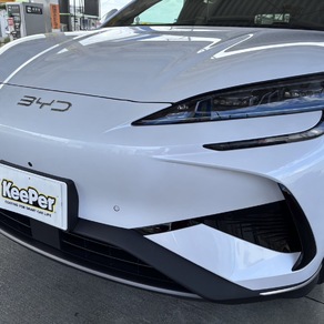 その他・シーライオン7