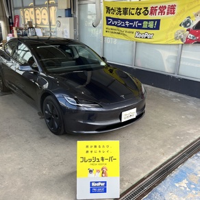 その他・テスラ・モデル３