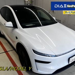 その他・テスラ・モデルY